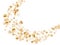 Gold sea shells rich vector background