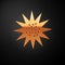 Gold Sea urchin icon isolated on black background. Vector.