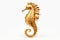 gold seahorse on a white background