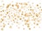 Gold seashells vector, golden pearl bivalved mollusks. Oceanic scallop