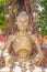 Gold seated buddha image statue under cannonball tree flower  in temple of Thailand