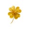 Gold shiny four leaf clover isolated on white