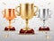 Gold and silver cups, sport trophy, goblets glory