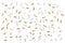 Gold and silver glitter confetti paper cut on white background