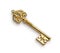 Gold skeleton key