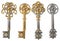 Gold Skeleton Key isolated on white background. 3d illustration