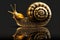 Gold Snail Black Background Wallpaper