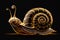 Gold Snail Black Background Wallpaper