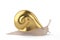 Gold snail on white background.3D illustration.