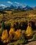 Gold And Snow On Dallas Divide