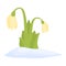 Gold snowdrop icon cartoon vector. Snow flower