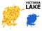 Gold Square Pattern Map of Victoria Lake