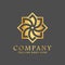 Gold Square Star Abstract Company Logos Design Vector Illustration Template