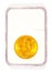 Gold St Gaudens Coin in Grading Case
