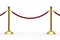 Gold stanchions on white background