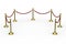 Gold stanchions on white background