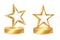 Gold star award on blank trophy. Reward icon isolated on white background. Star reward . Vector illustration. Concept of