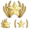 Gold Star Award with Laurel Wreath