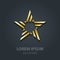 Gold star. Business international award. Star-shaped logotype te