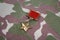 The Gold Star medal is a special insignia that identifies recipients of the title \