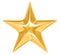 Gold Star on white background