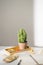 Gold stationaries and cactus. Good plant for improving office air environment