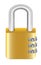 Gold steel master key lock with padlock