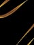 Gold Strands Swooping on a Black Background