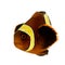 Gold stripe Maroon Clownfish - Premnas biaculeatus