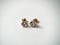 Gold stud earrings with cubic zirconia close-up