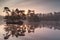 Gold sunrise over wild forest lake