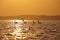 Gold sunset over lake Balaton with silhouettes of swans