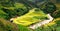 Gold terraced rice fields with sunlight in Mu Cang Chai, Vietnam