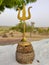 Gold Trident of lord shiva,with old wood stand