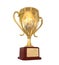 Gold Trophy Cup