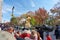 Gold Turkey wagon at Thanksgiving Parade in Manhattan. Macys Parade in NYC