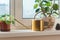 Gold watering can metal aluminum brass watering vessel, potted flowers on the windowsill