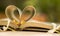 Gold wedding rings, heart book, background blur