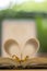 Gold wedding rings, heart book, background blur