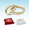 Gold Wedding Rings on Red White Satin Pillow