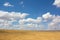 Gold wheat field and blue sky. The spikelets bend under the wind.