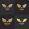 Gold wings logo vector set. Vintage hipster design. Part two.