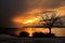 Gold winter sea sunset and trees in Finland