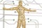 Gold wireframe or mesh human on digital background.3D illustration.