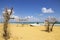 Gold yellow beach and clean blue sky, summer vacation concept photo. It`s took at `Kilyos, Burc  Beach. Istanbul`