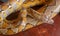 Gold Yellow Python, Albino snake with beautiful yellow texture. Pattern Boa Snake skin abstract texture. Close up of snake skin