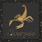 Gold zodiac Scorpio horoscope sign on dark square background