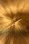 Gold zoom abstract background