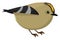 Goldcrest bird, illustration, vector