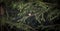 Goldcrest sitting on the spruce twig Regulus regulus European smallest songbird in the nature habitat